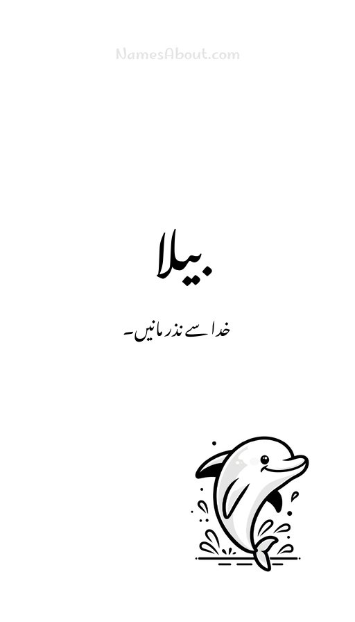 بیلا