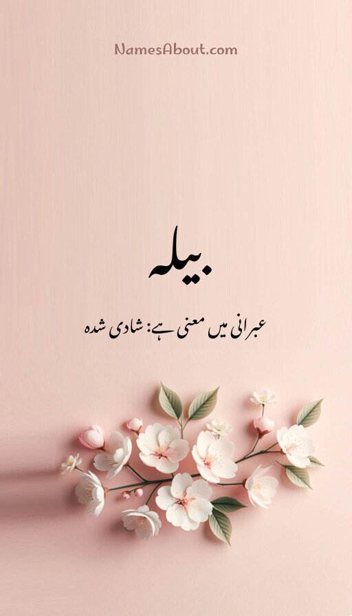 بیلہ