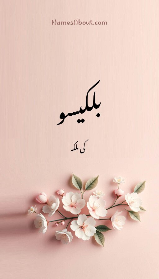 بلکیسو