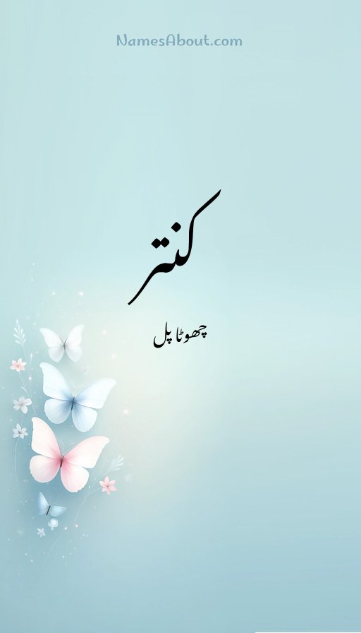 کنتر