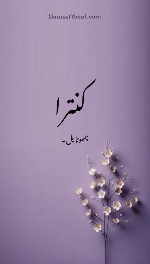 کنترا