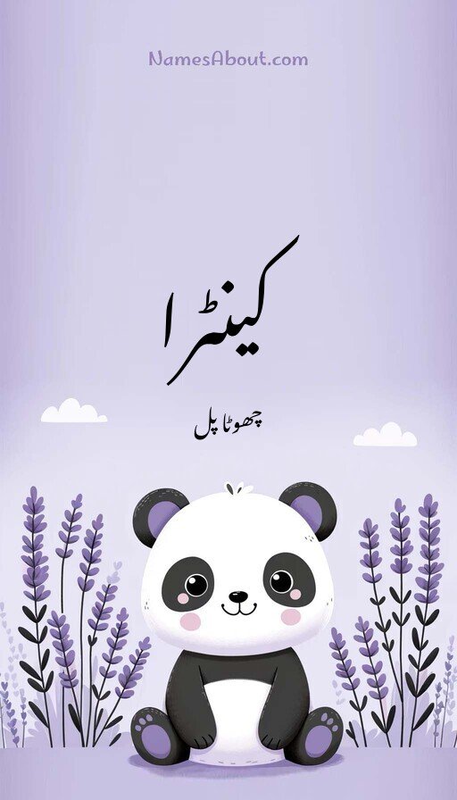 کینٹرا