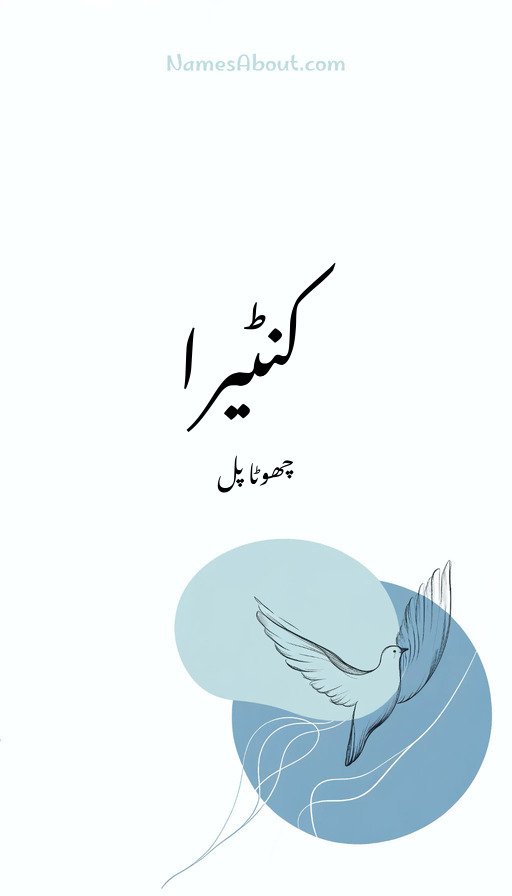 کنٹیرا