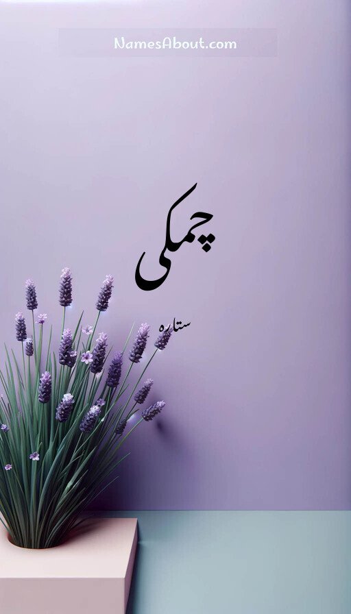 چمکی