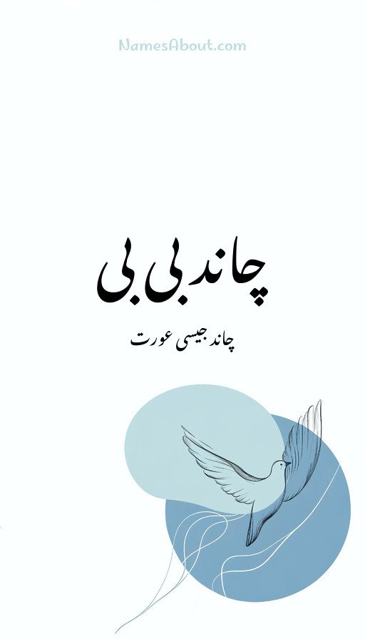 چاند بی بی