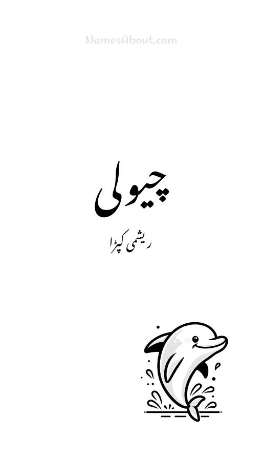 چیولی