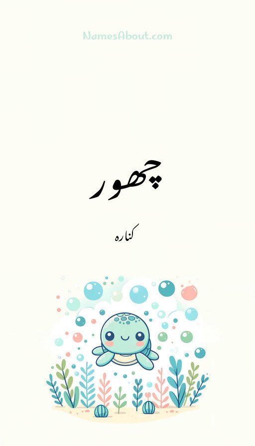چھور
