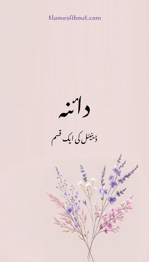 دائنہ