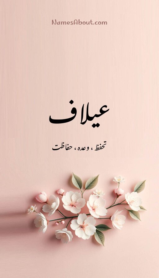 عیلاف