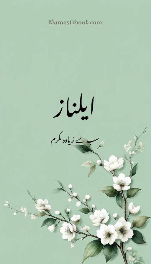 ایلناز