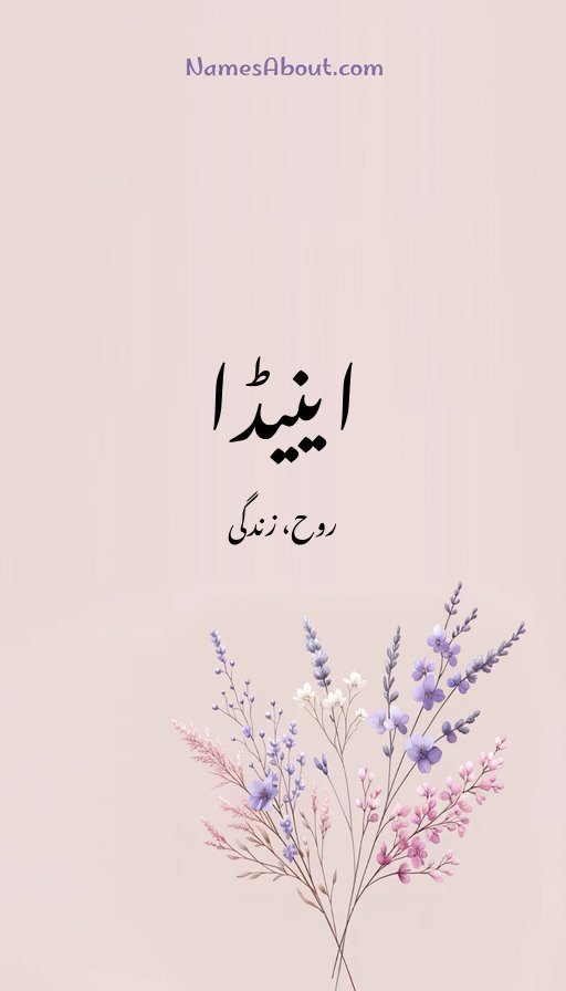 اینیڈا