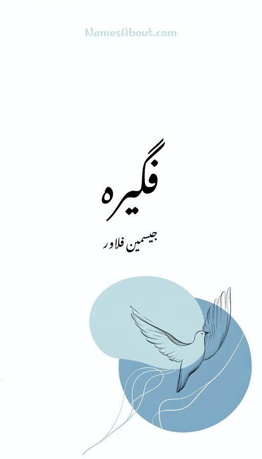 فگیرہ