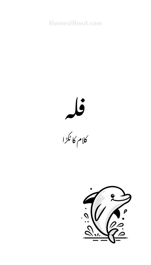 فلہ