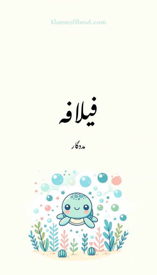 فیلافہ