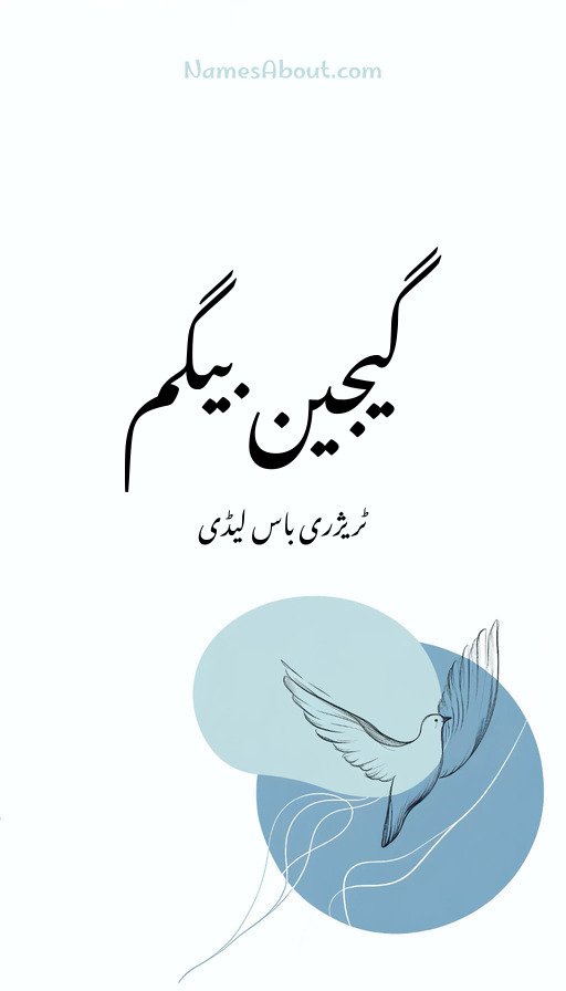 گیجین بیگم