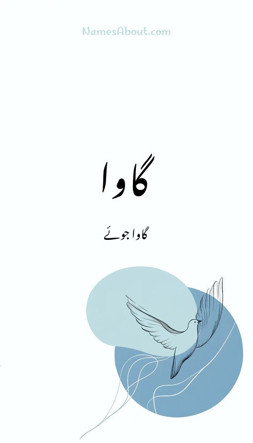 گاوا