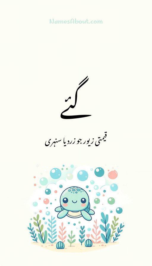 گئے