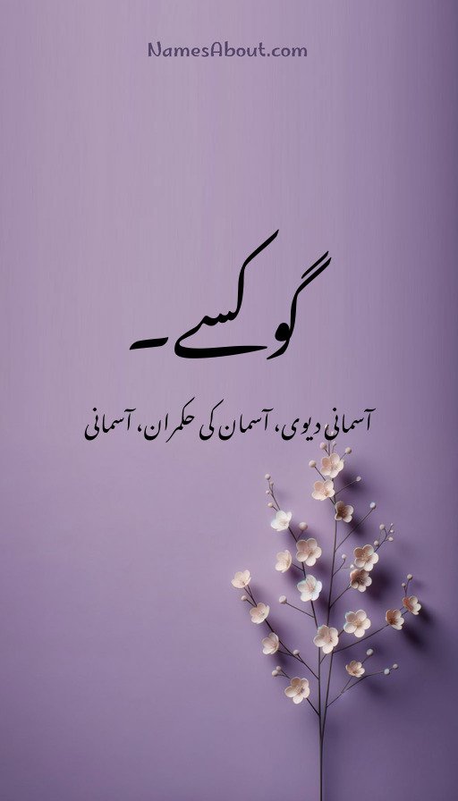 گوکسے۔