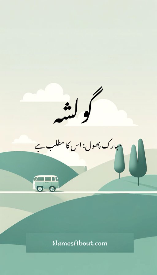 گولشہ