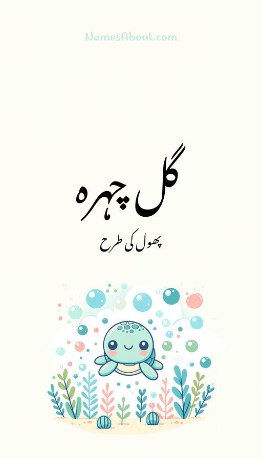 گل چہرہ