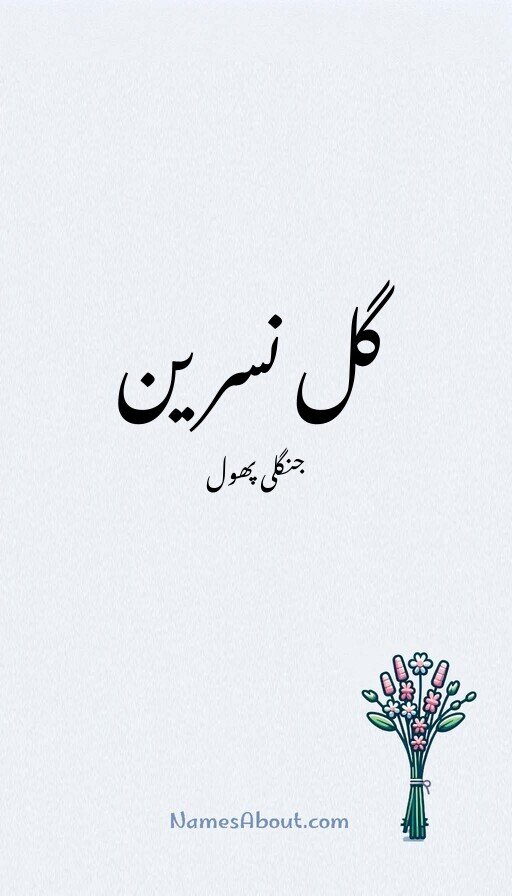 گل نسرین