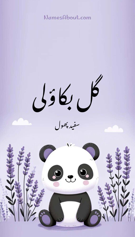 گل بکاؤلی