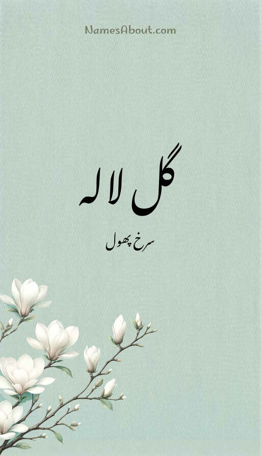 گل لالہ