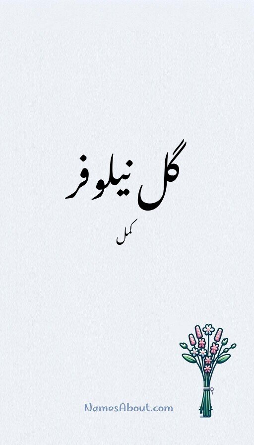 گل نیلوفر