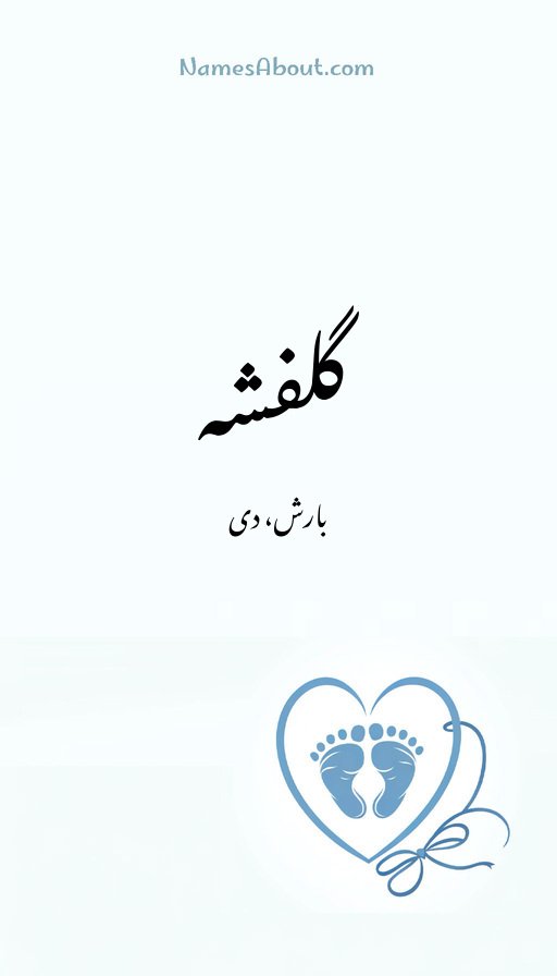 گلفشہ