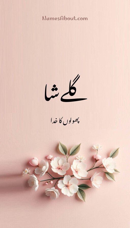 گلےشا