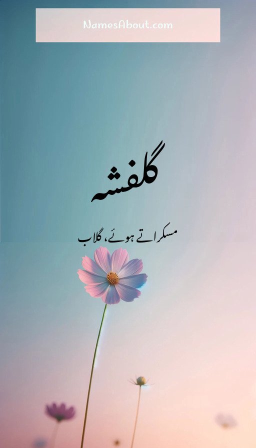 گلفشہ