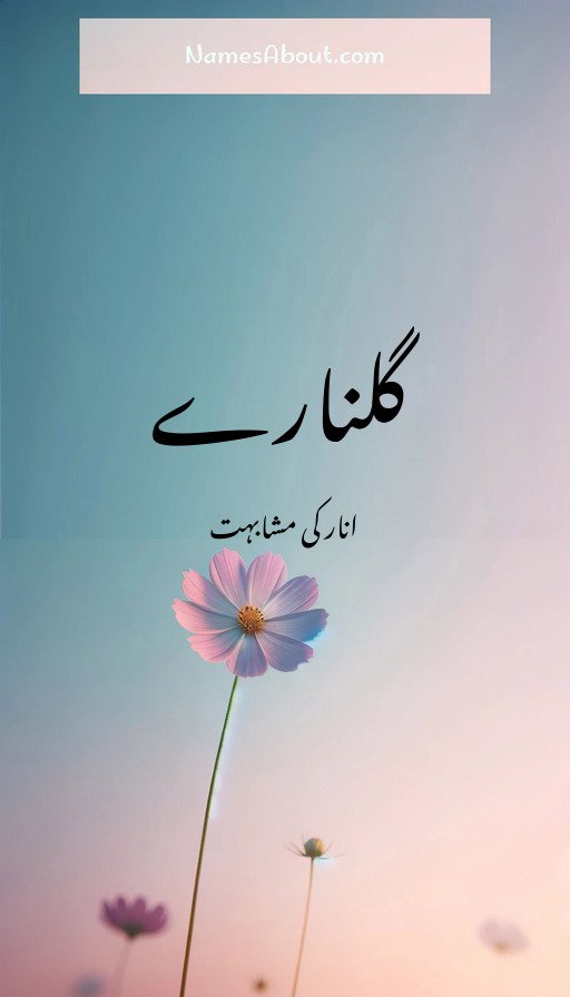 گلنارے