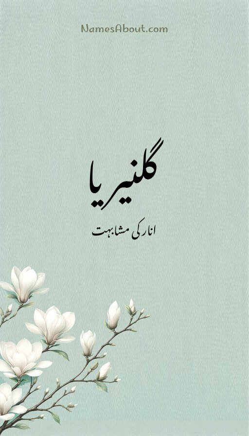 گلنیریا