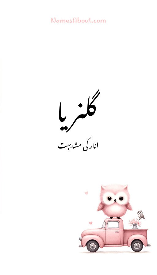 گلنریا