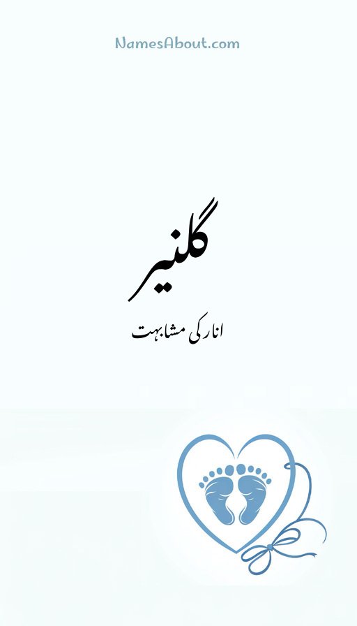 گلنیر