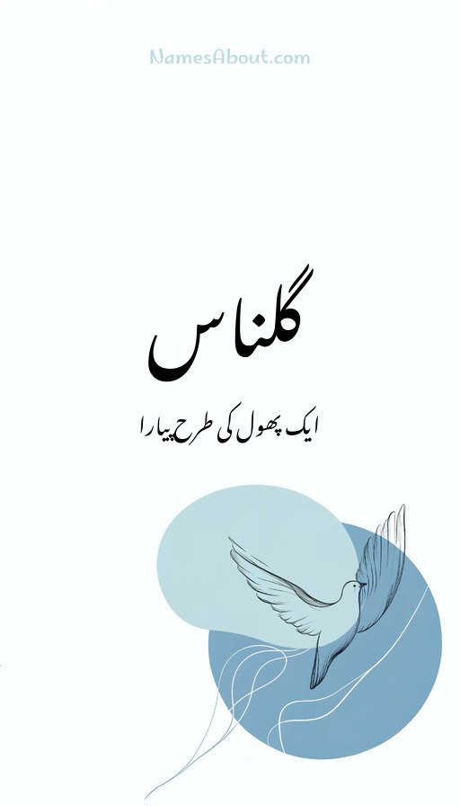 گلناس