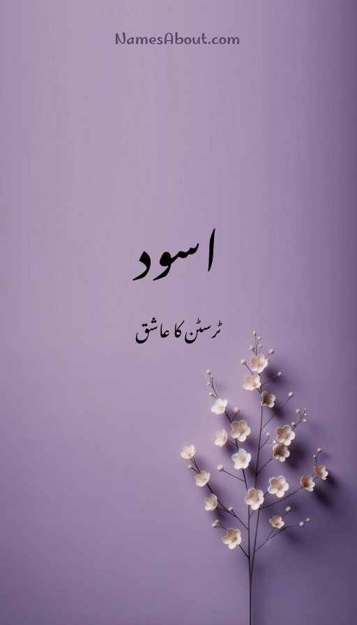 اسود