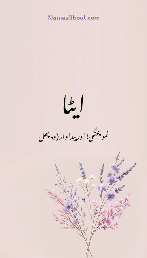 ایٹا