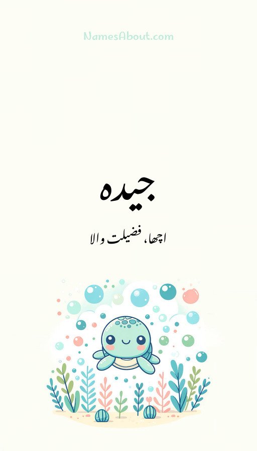 جیدہ