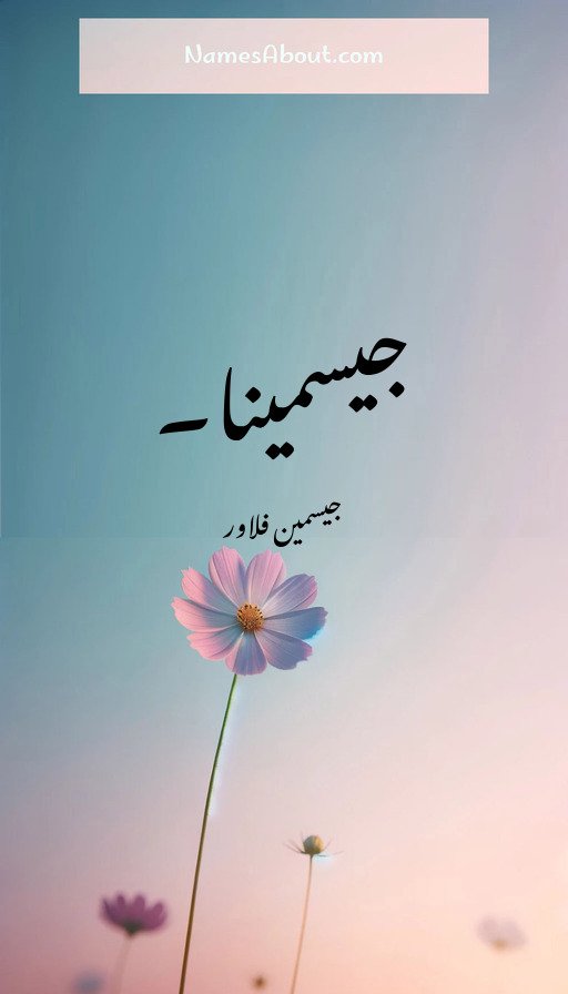 جیسمینا۔