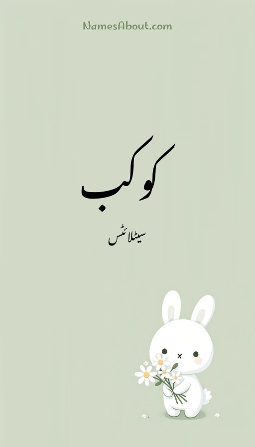 کوکب