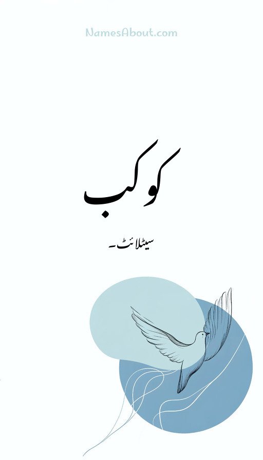 کوکب