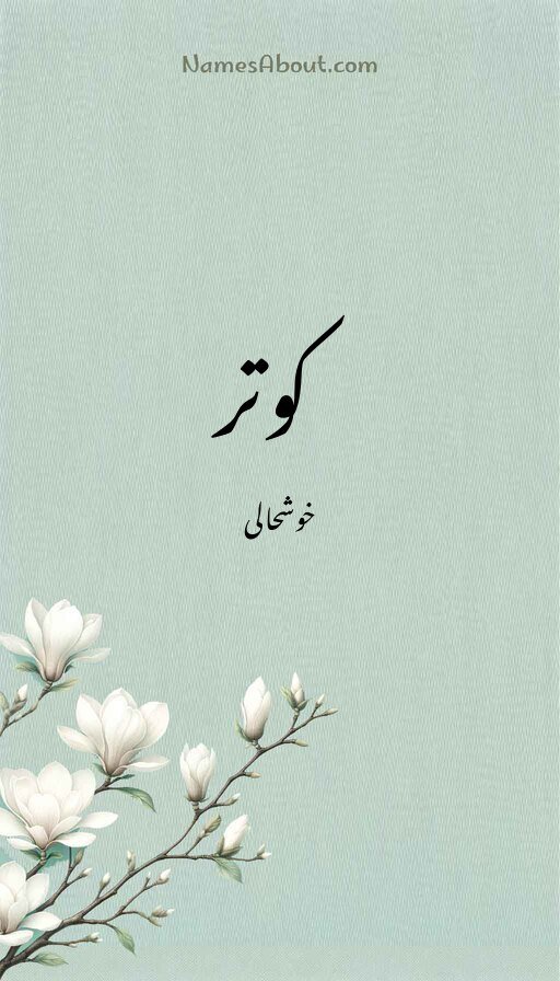 كوتر