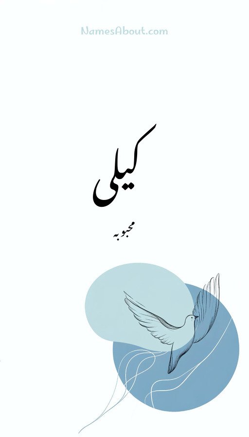 کیلی