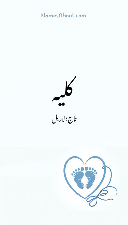 کلیہ