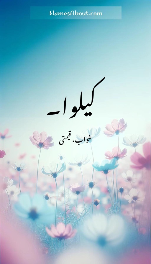 کیلوا۔
