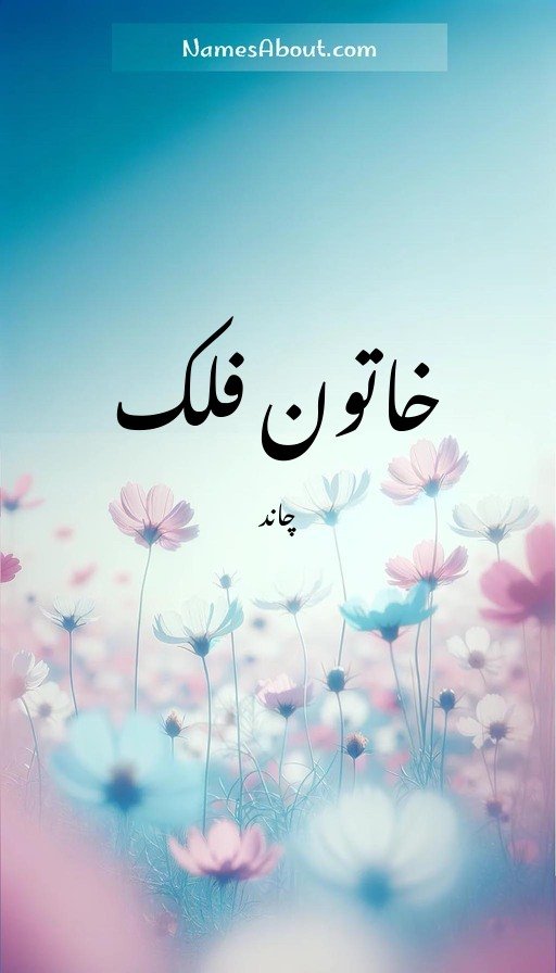 خاتون فلک
