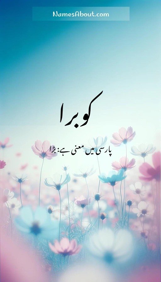 کوبرا