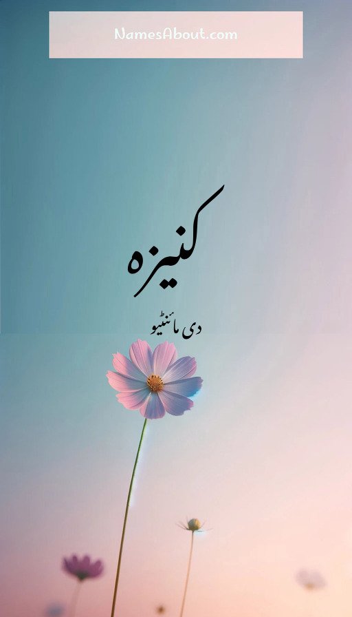 کنیزہ
