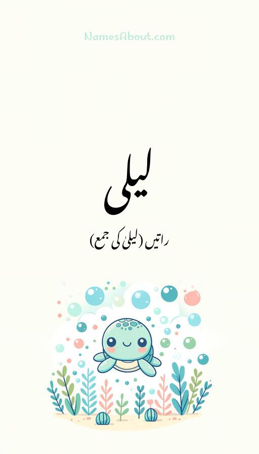 لیلی